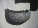 may-01-2010_0103.jpg